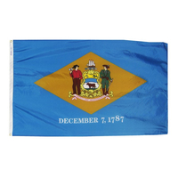 6x10 ft. Nylon Delaware Flag with Heading and Grommets