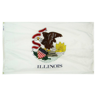 6x10 ft. Nylon Illinois Flag with Heading and Grommets