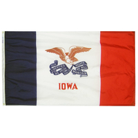 2x3 ft. Nylon Iowa Flag with Heading and Grommets