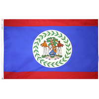 3x5 ft. Nylon Belize Flag with Heading and Grommets
