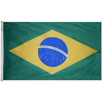 2x3 ft. Nylon Brazil Flag Pole Hem Plain