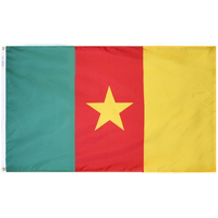 3x5 ft. Nylon Cameroon Flag Pole Hem Plain