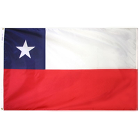 3x5 ft. Nylon Chile Flag Pole Hem Plain