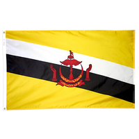 5x8 ft. Nylon Brunei Flag with Heading and Grommets