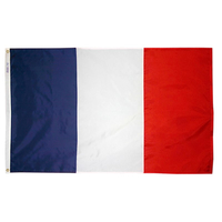 3x5 ft. Nylon France Flag Pole Hem Plain