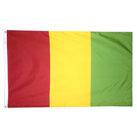 2x3 ft. Nylon Guinea Flag Pole Hem Plain