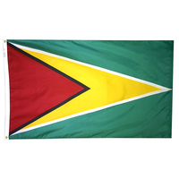 4x6 ft. Nylon Guyana Flag Pole Hem Plain