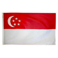 3x5 ft. Nylon Singapore Flag with Heading and Grommets