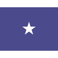 3 ft. x 5 ft. Air Force 1 Star General Flag w/Grommets