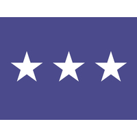 3 ft. x 4 ft. Air Force 3 Star General Flag Pole sleeve Only