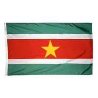 3x5 ft. Nylon Suriname Flag Pole Hem Plain