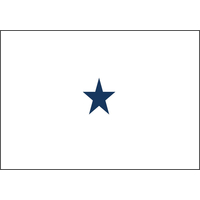 2 ft. x 3 ft. Navy 1 Star Non Seagoing Admiral Flag w/Grommets