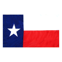 3x5 ft. Nylon Texas Flag Pole Hem Plain