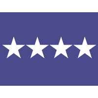 3 ft. x 5 ft. Air Force 4 Star General Flag w/Grommets