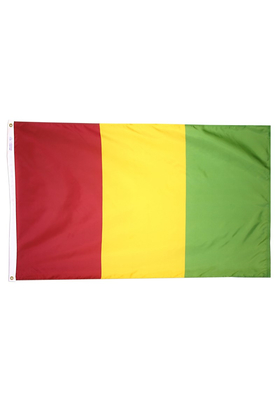 2x3 ft. Nylon Guinea Flag with Heading and Grommets