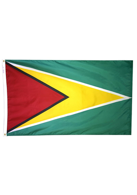 3x5 ft. Nylon Guyana Flag Pole Hem Plain