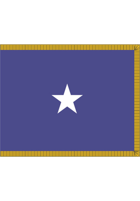 3 ft. x 4 ft. Air Force 1 Star General Flag Pole Sleeve & Fringe