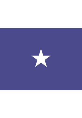 3 ft. x 4 ft. Air Force 1 Star General Flag Pole sleeve Only