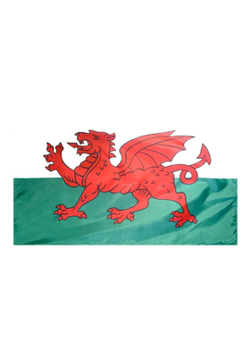 3x5 ft. Nylon Wales Flag with Heading and Grommets