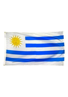 3x5 ft. Nylon Uruguay Flag Pole Hem Plain