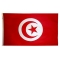 3x5 ft. Nylon Tunisia Flag Pole Hem Plain